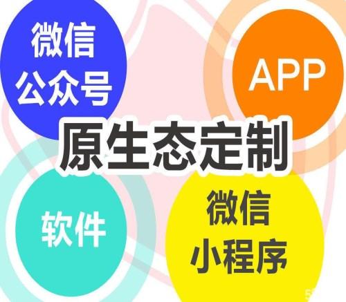 邯郸定制软件开发服务